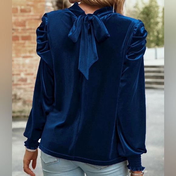 Tie Up Mock Neck Velvet Fabric Long Sleeve Blouse - Picture 5 of 12